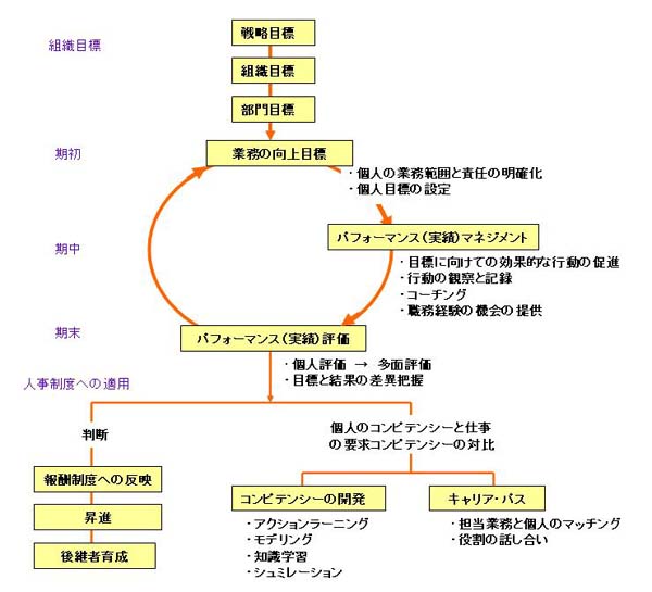 コンピテンシー・マネジメントの体系図